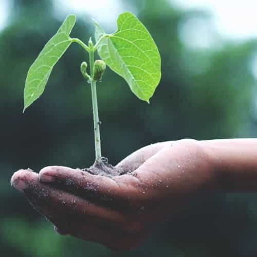 11%20Michelle Laubcher-Jäger