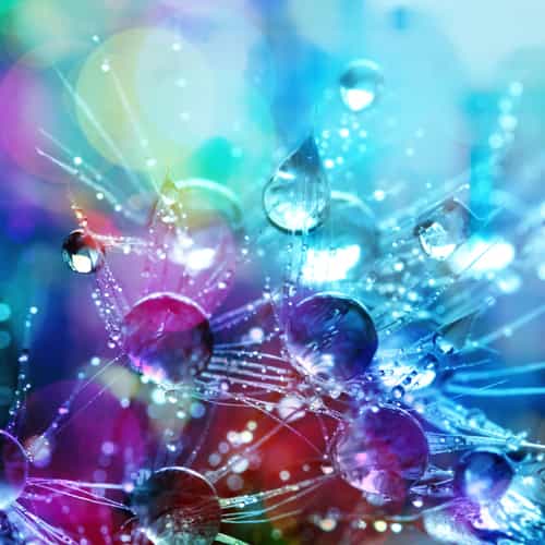 Evolving Minds-Bhashni%2001