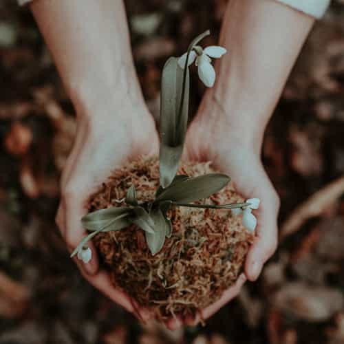 10007%20Evolving%20Minds