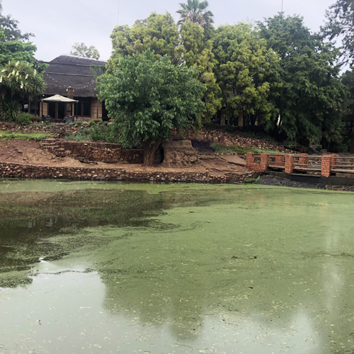 8%20Michelle Laubcher-Jäger