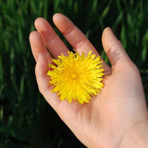 13%20Michelle Laubcher-Jäger